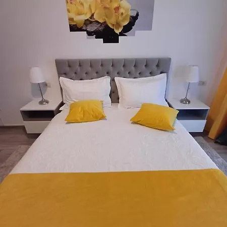 Swiss 3 Brasov